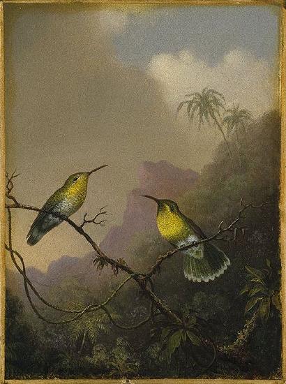 Martin Johnson Heade Two Humming Birds